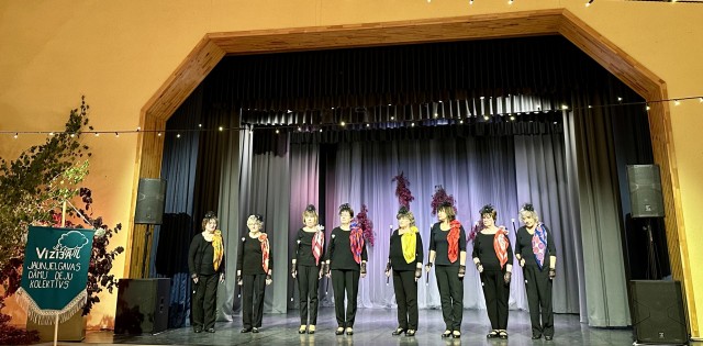 Dāmu deju kolektīvs "Vīzija"